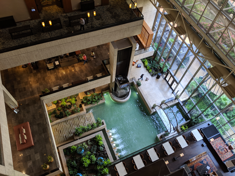 Illustration for article titled Pixel3 (non suffixed) on the Riverwalk + lunch.